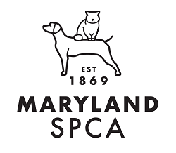 Car Donation In Maryland | Donateacar.com