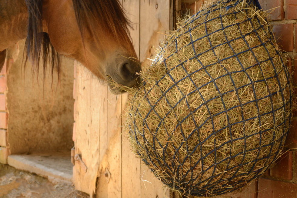Buy hay nets and feed nets DOST net production
