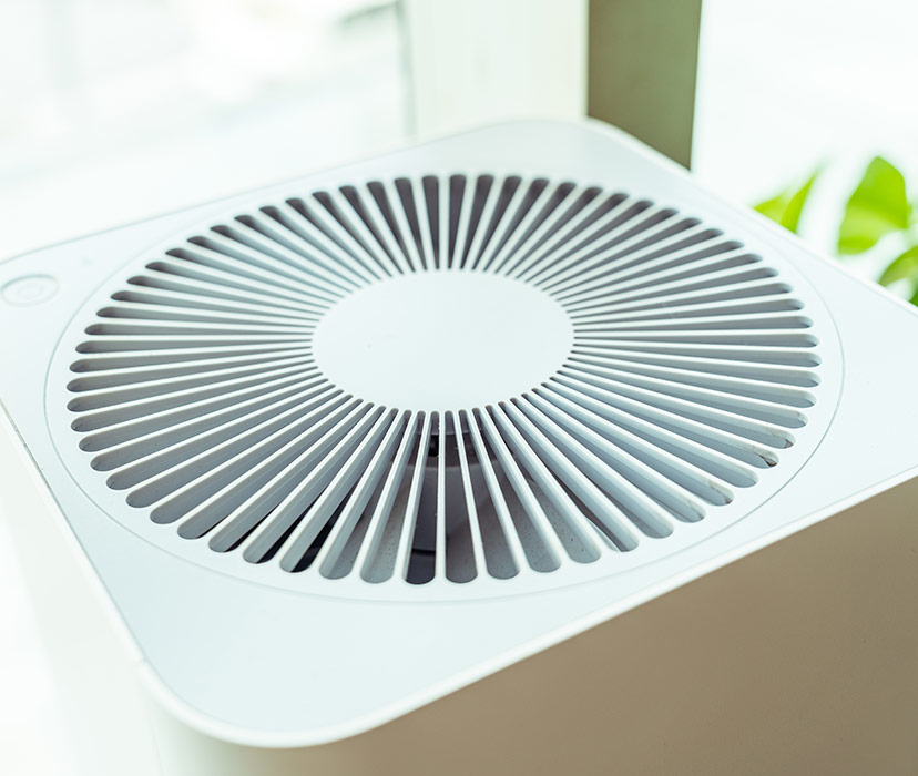 Are Air Purifiers Effective? Don Juan's Kitchen
