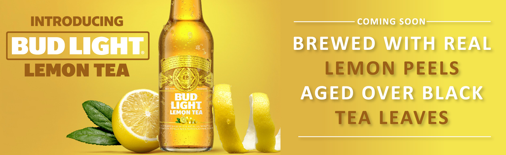 Maybe you would like to learn more about one of these? Donnewald Distributing Company Bud Light Lemon Tea 04