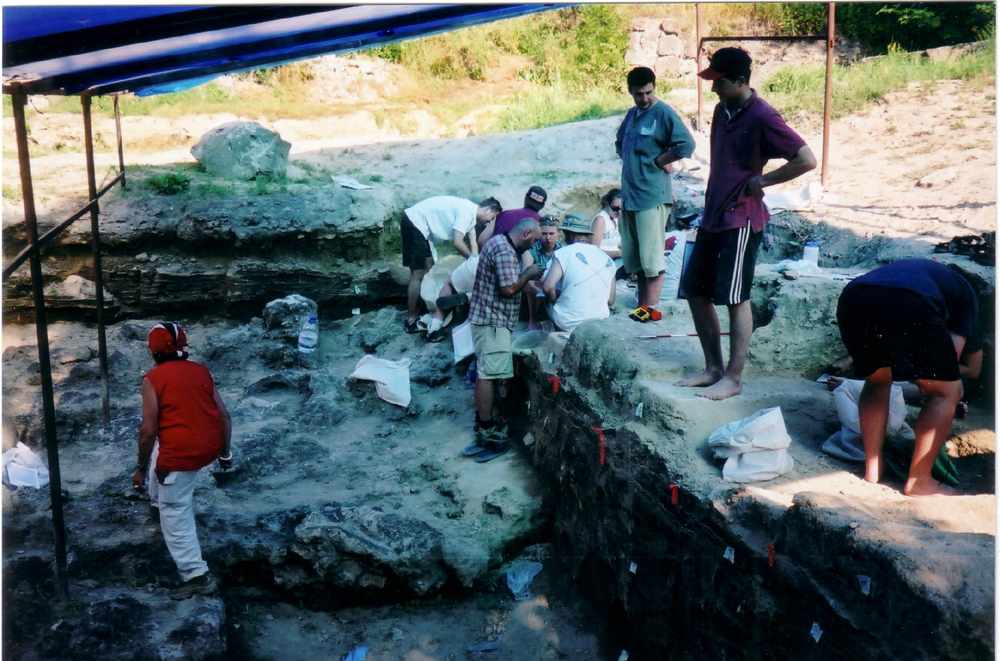 Homo erectus the Dmanisi Site