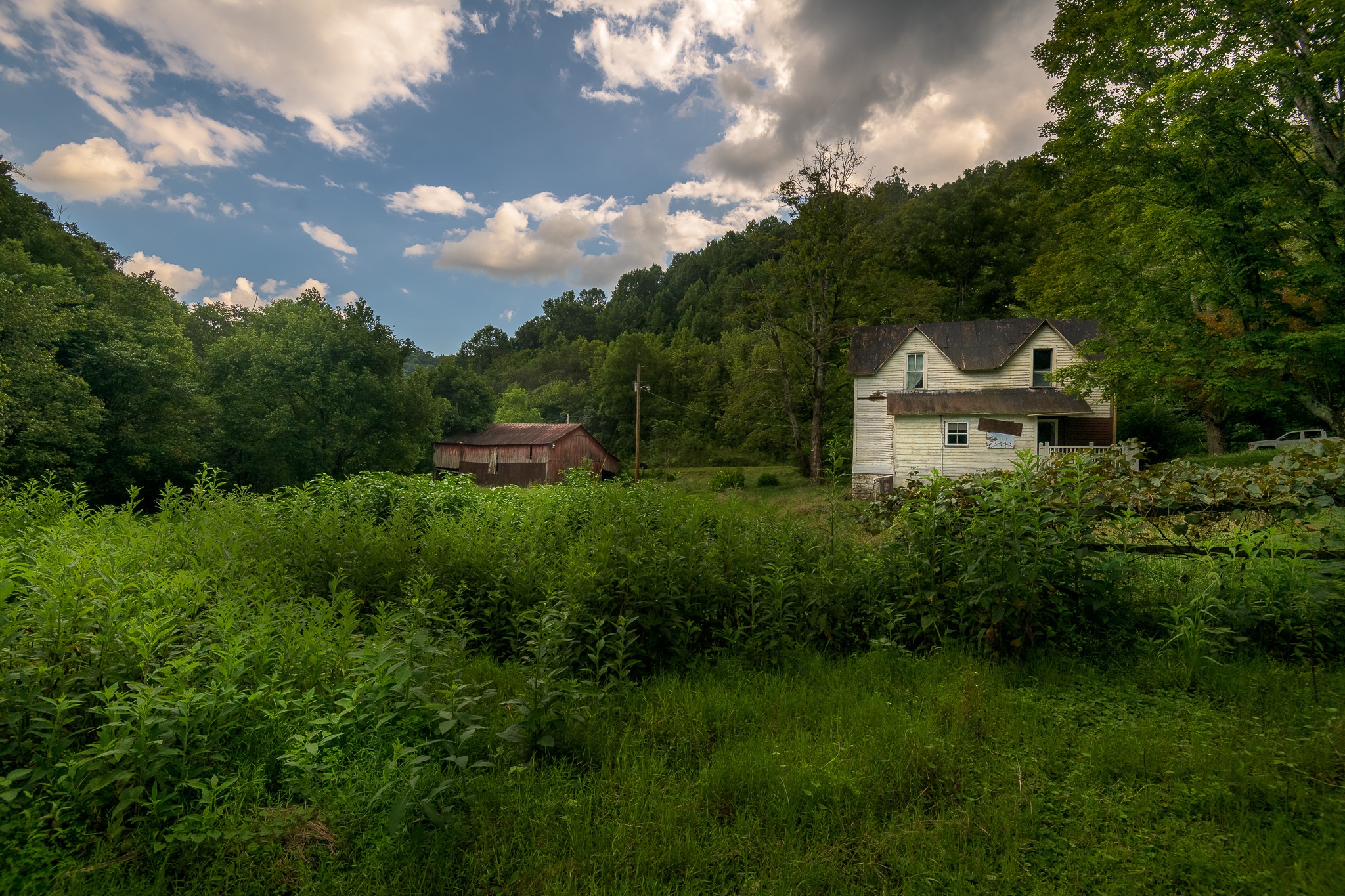Chestnut Mound TN Real Estate 49 Saint Marys Rd 64 Acres Don Wright Designs
