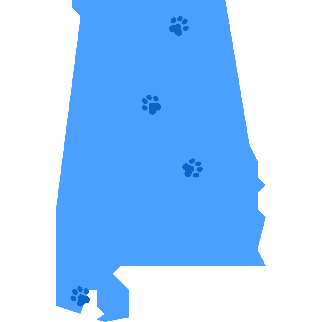 Huntsville, AL Pooper Scooper Service Doo Doo Blues