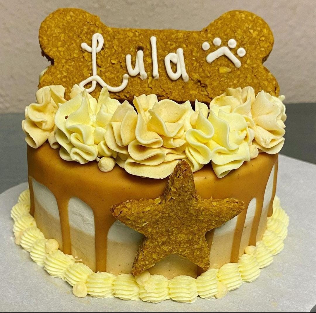 Delicious Dog Bone Shaped Cake Doorstep Cake