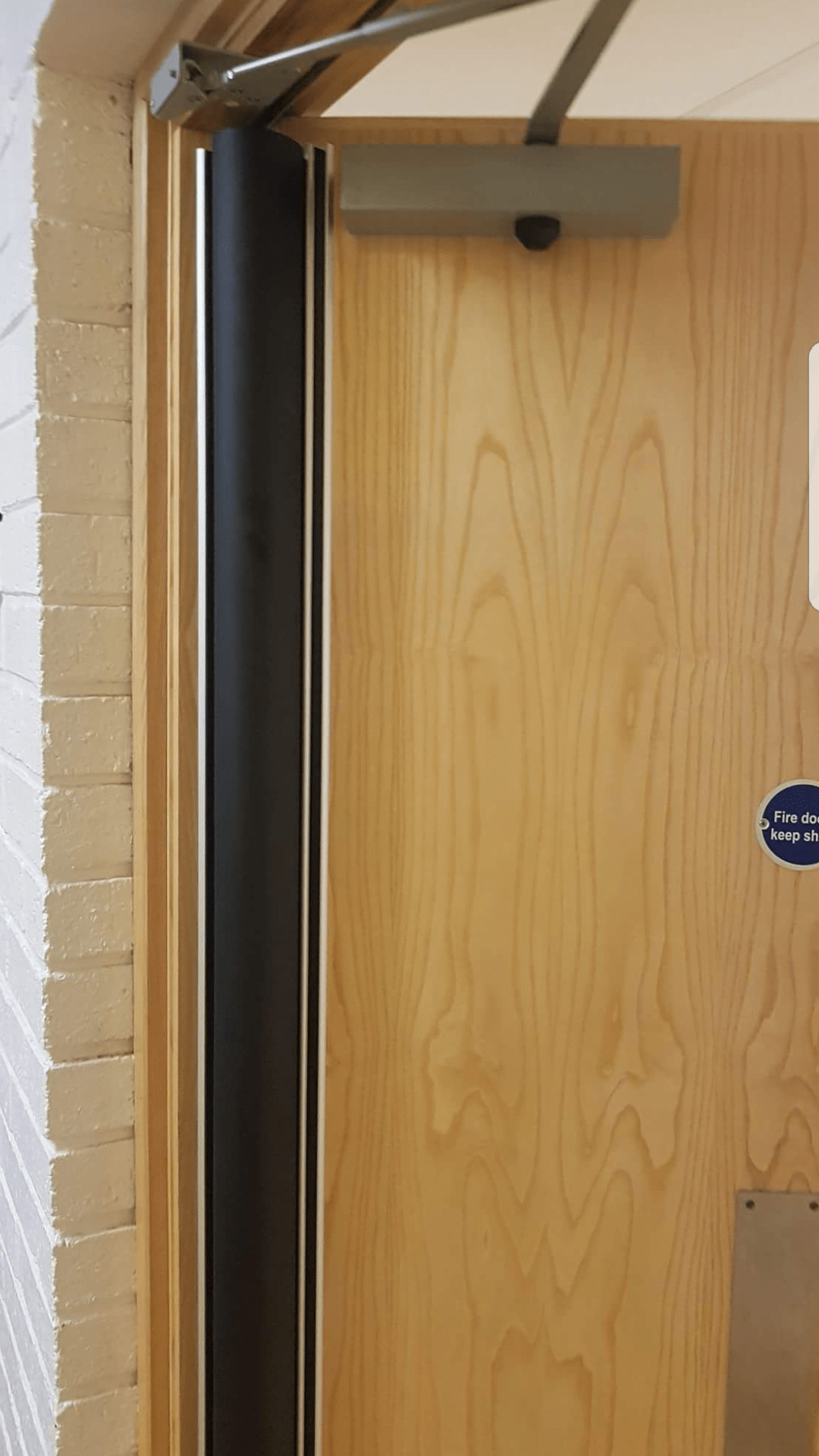 Raven RP62 High Impact Finger Guard DoorTECH