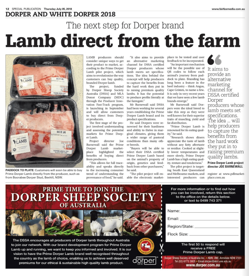 Dorper Sheep Society Australia Lamb direct from the farm