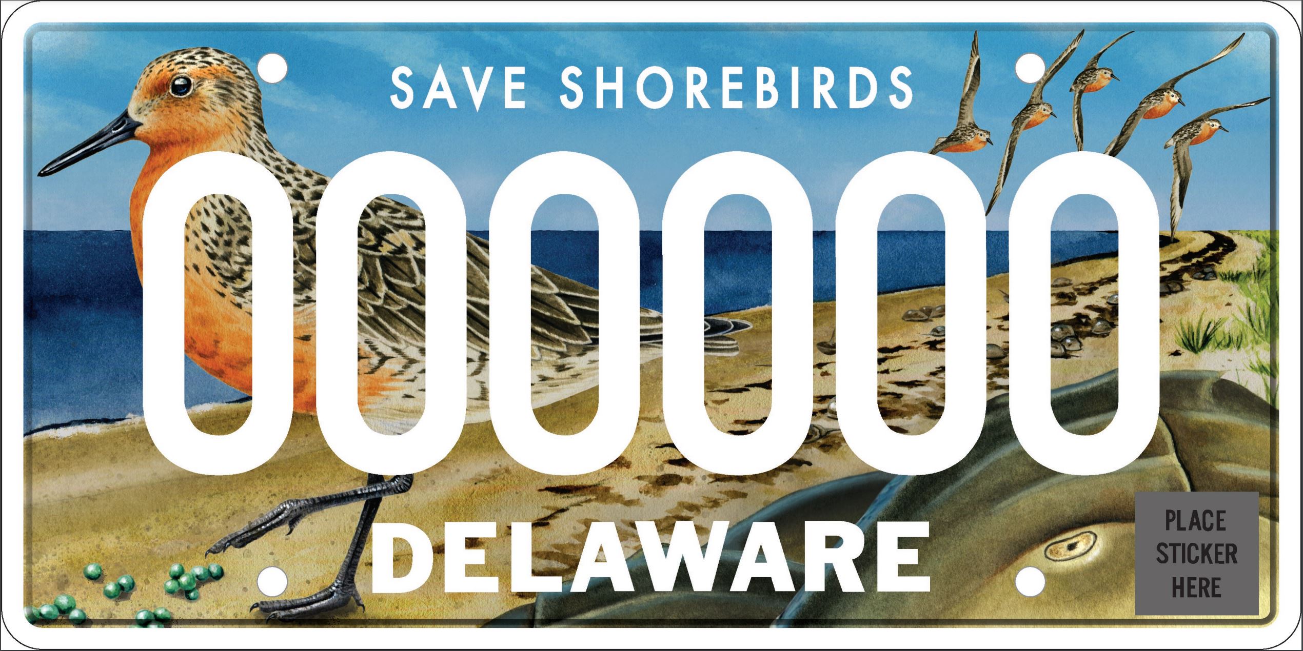 License Plates Delaware Ornithological Society
