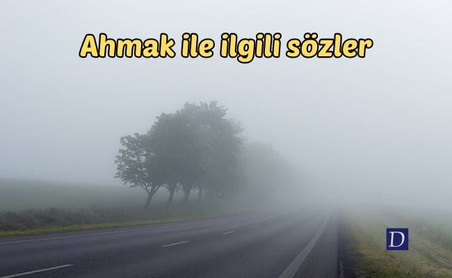 Ahmak ile ilgili sözler
