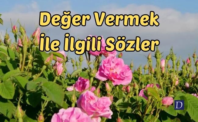 Değer Vermek İle İlgili Sözler