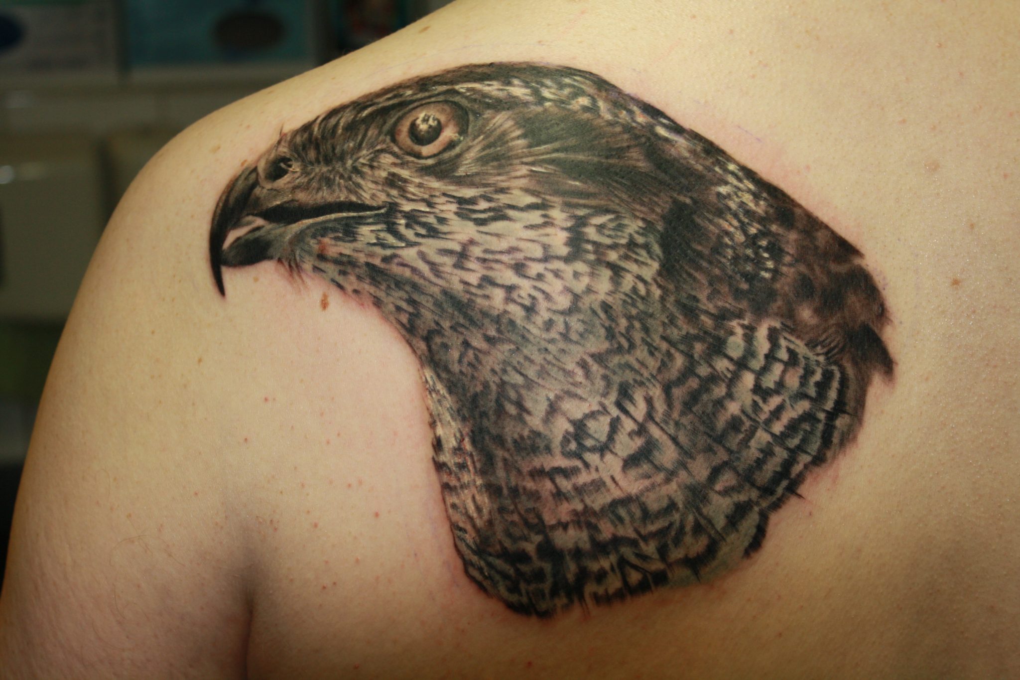 Lebensart Tattoo » DOT e.V.