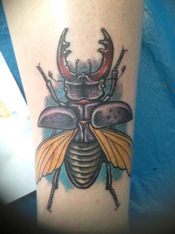 Living Pictures Tattoo » DOT e.V.