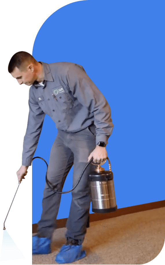 D&R Pest Control Design