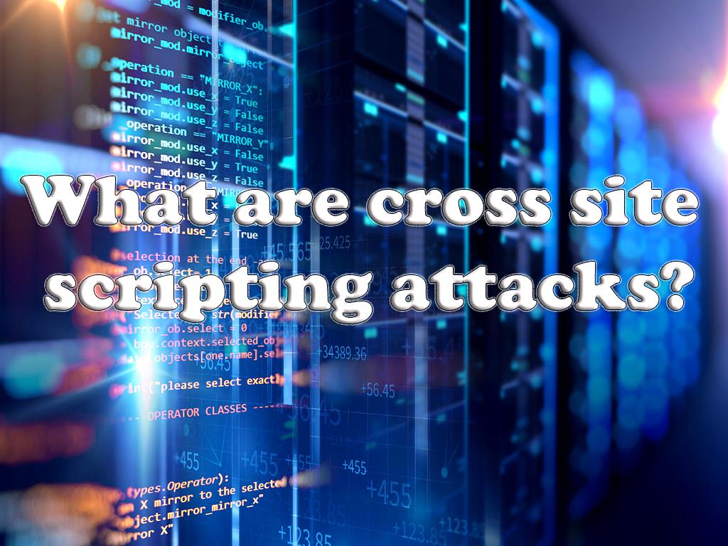 What is the most effective defense against cross site scripting attacks?