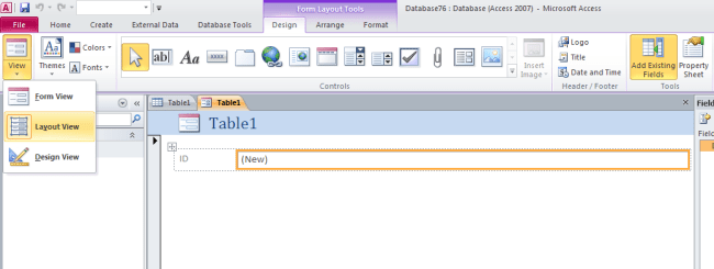 Understand Layout View And Design Grid In Access 2010