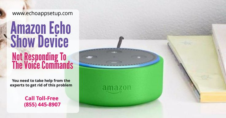Echo Dot Not Responding To Voice Commands - Dot to Dot Name Tracing Website