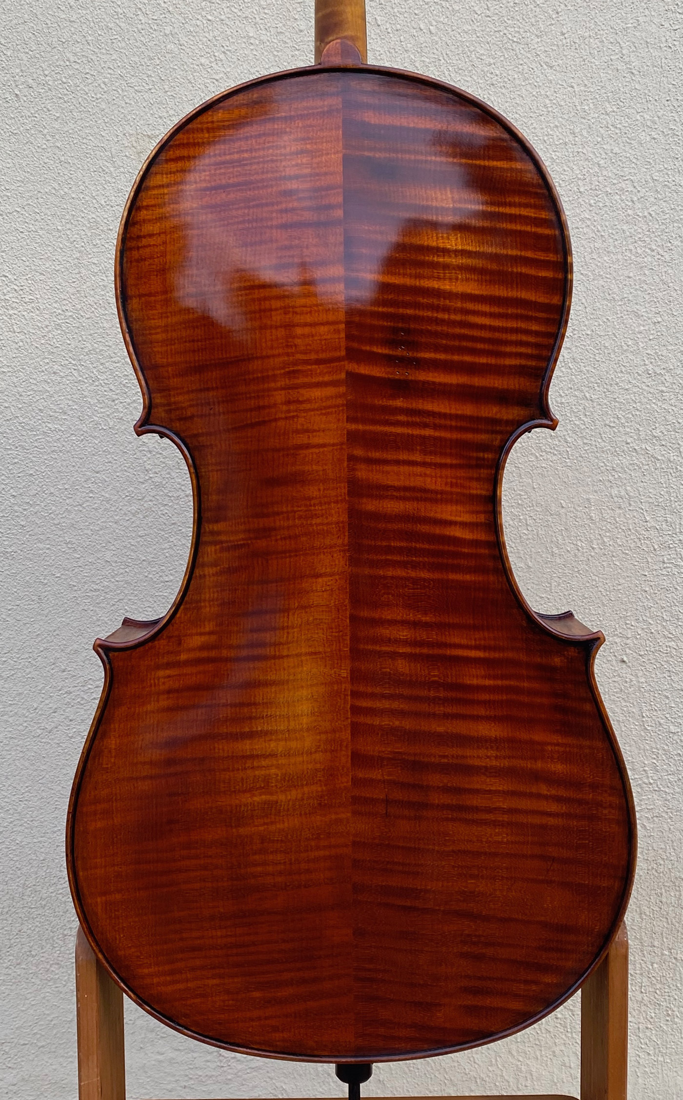 Double bass making and restoration by Sergio Scaramelli in Ferrara