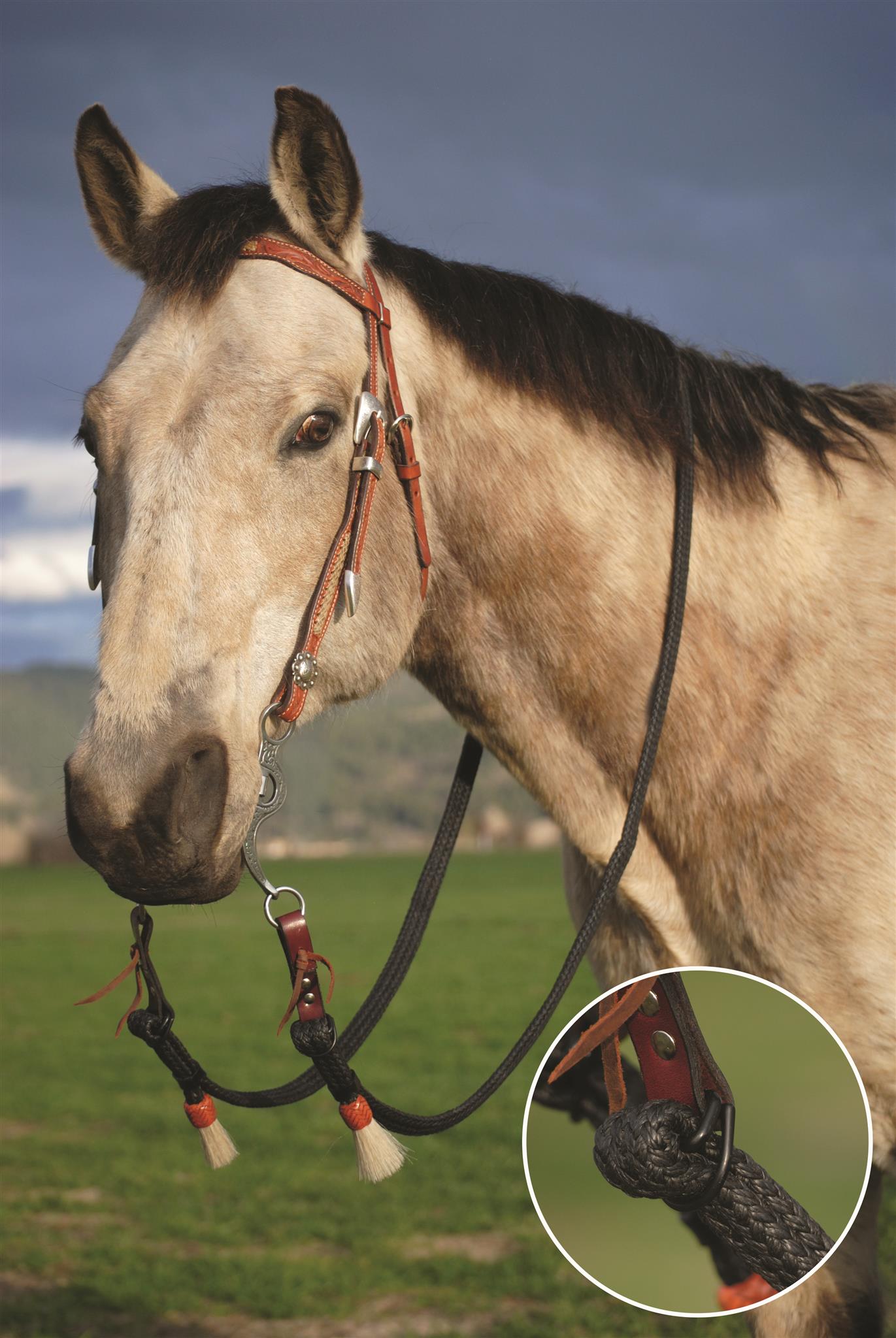 4957 Adjustable Reins Double Diamond Halter Company