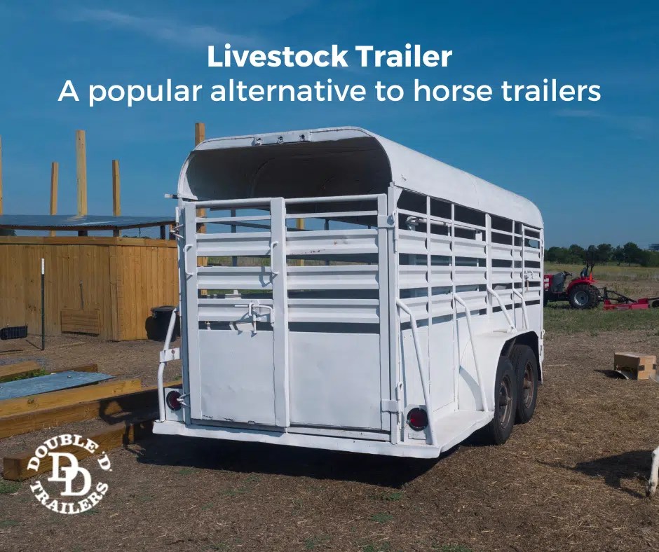 Key Things to Know Before Buying a Horse Trailer