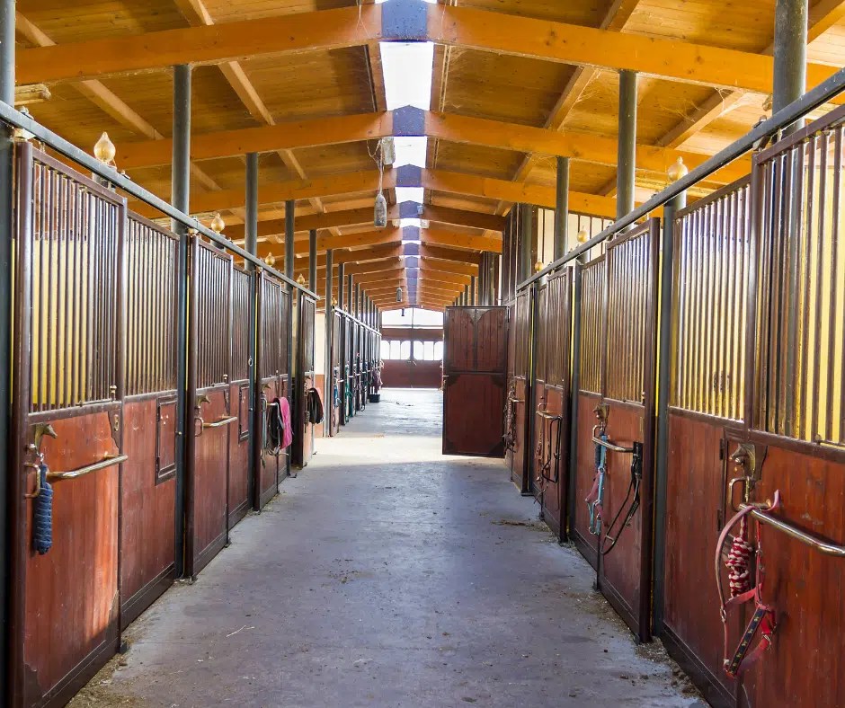 Horse Boarding Stables Should You Use One?