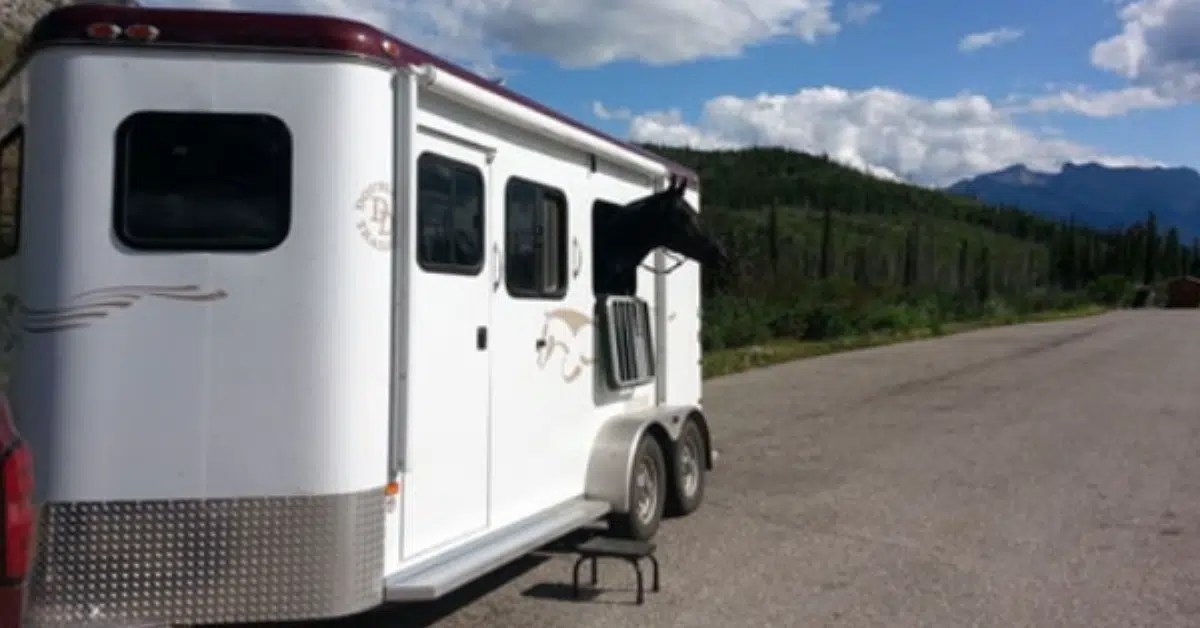 Safe Bumper Pull Horse Trailer Top 10 Important Things to Look For