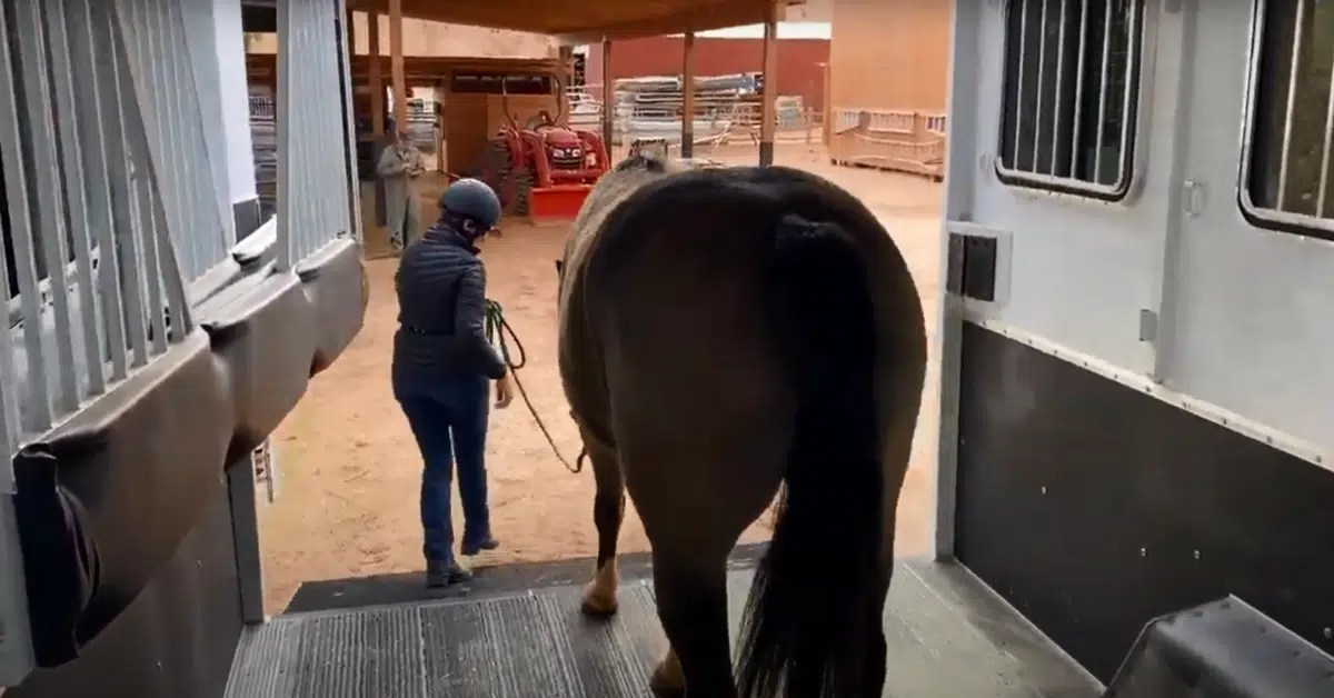 Unload Your Horse From the Trailer Without Ever Backing Up Again!