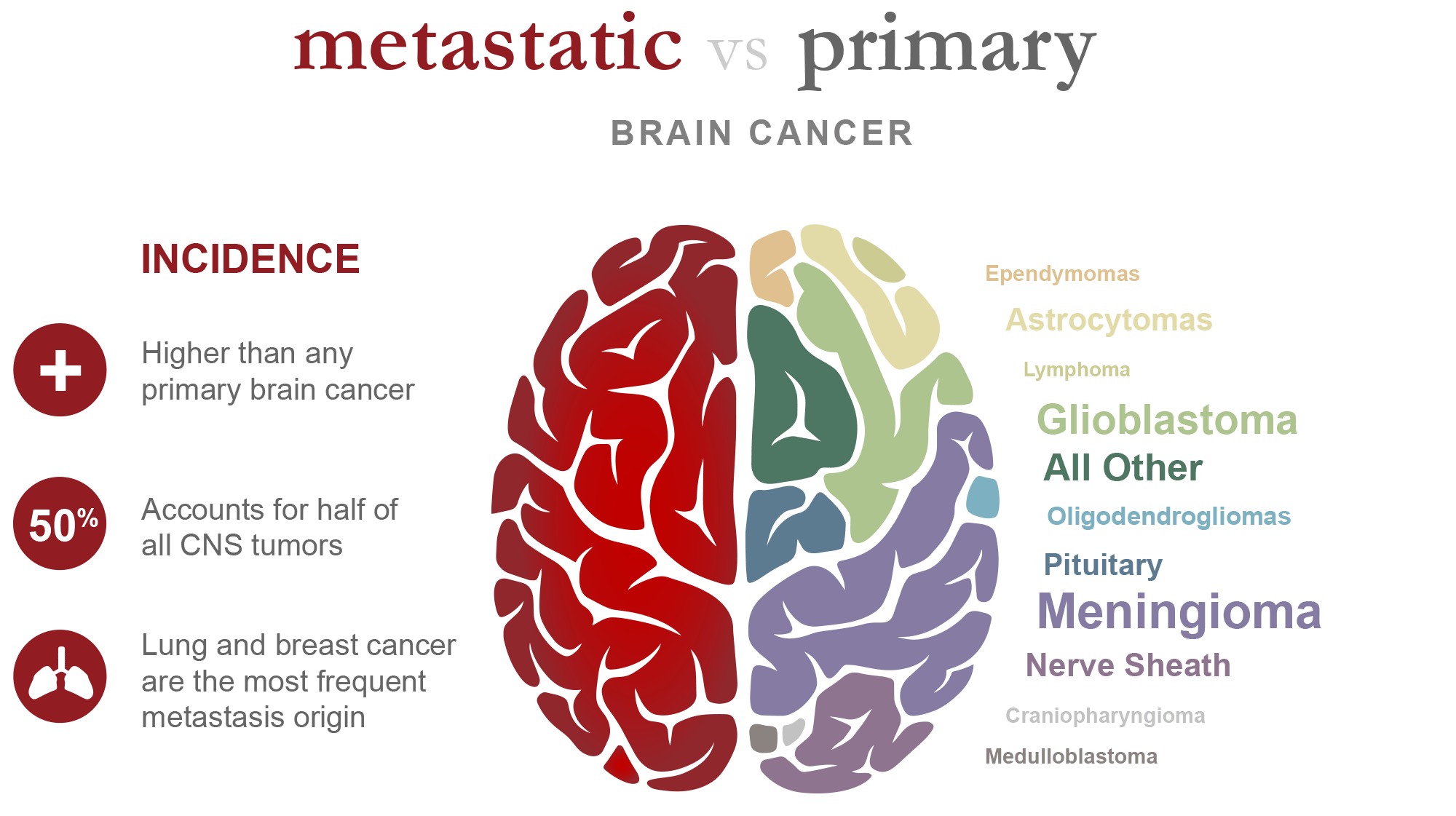Most Common Primary Brain Tumor