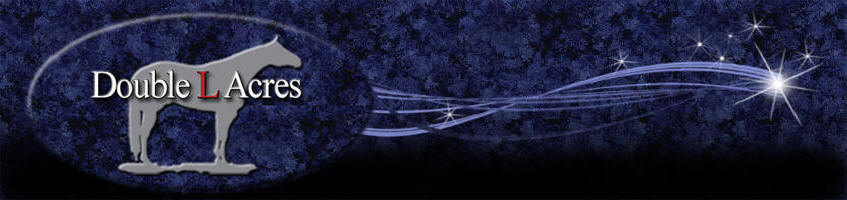 Acuscope & Myopulse Therapy for horses.