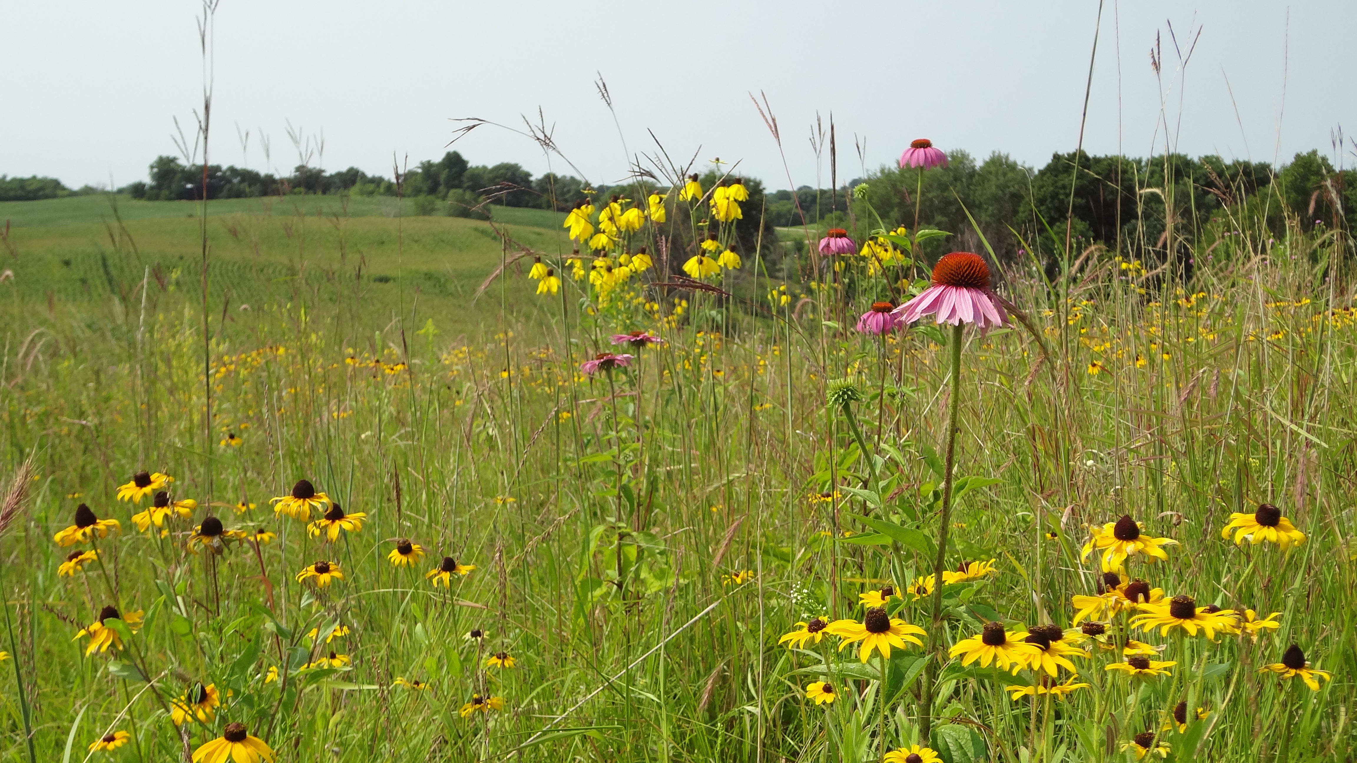 Douglas County Soil & Water Conservation District Douglas SWCD