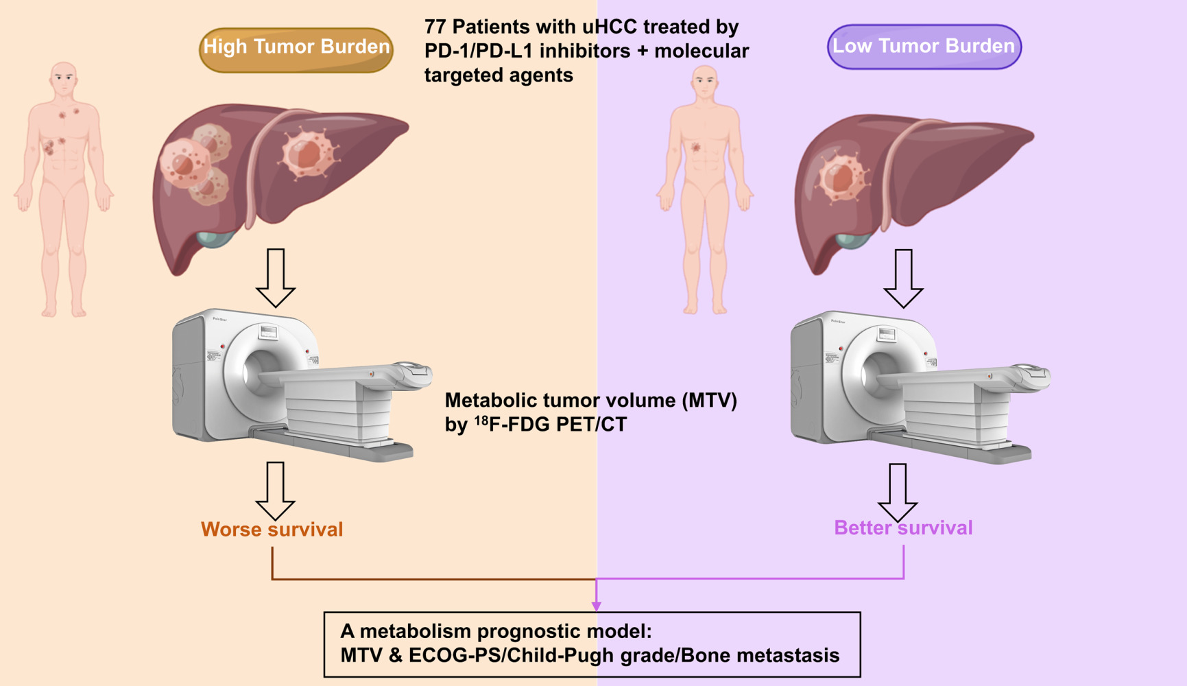 18+ Calculate Tumor Volume BrioneKonall