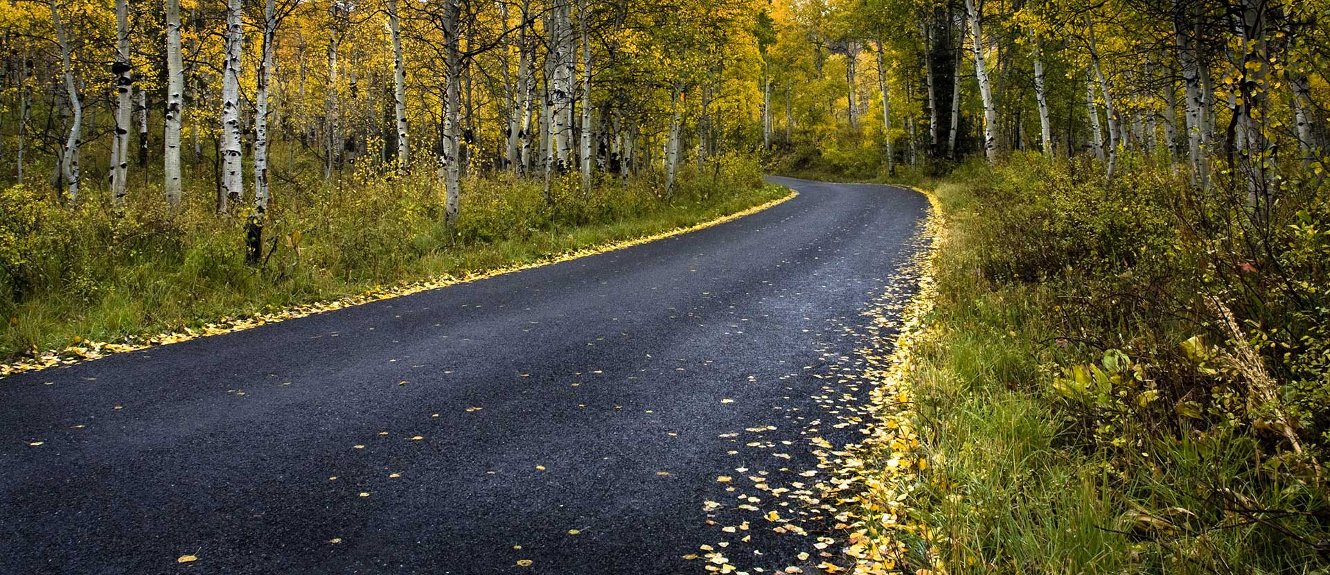 Auto & Motorcycle Insurance The Dowd Agencies Holyoke, MA