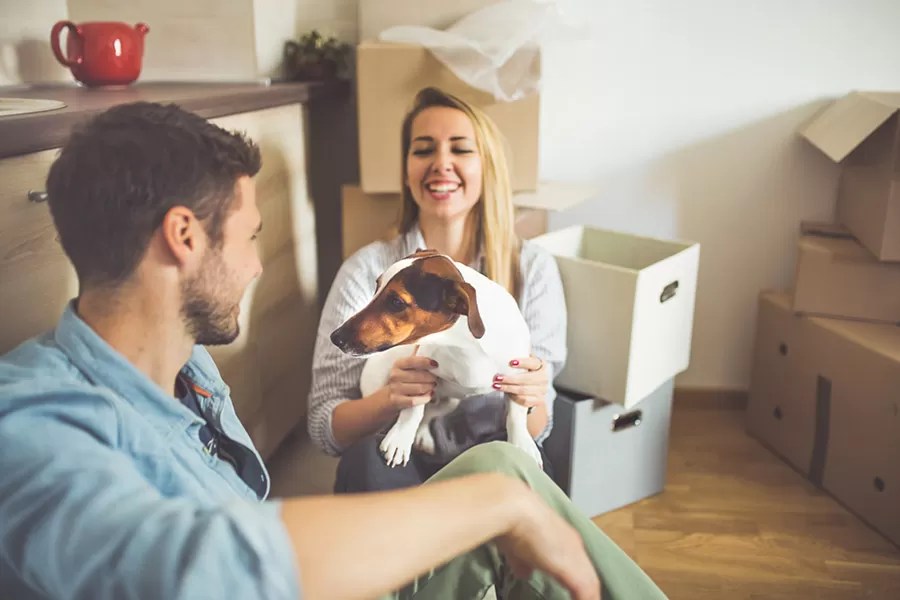 Renters Insurance The Dowd Agencies Holyoke, MA