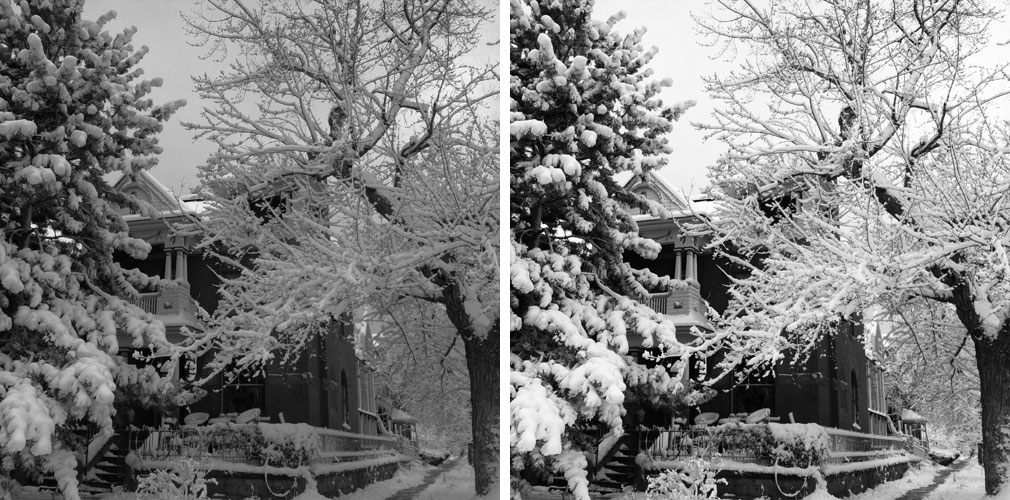 Is Your LowContrast Design Costing You Clients? Dowitcher Designs