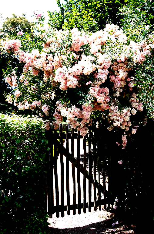 Landscape Services / Arlington, MA 02476