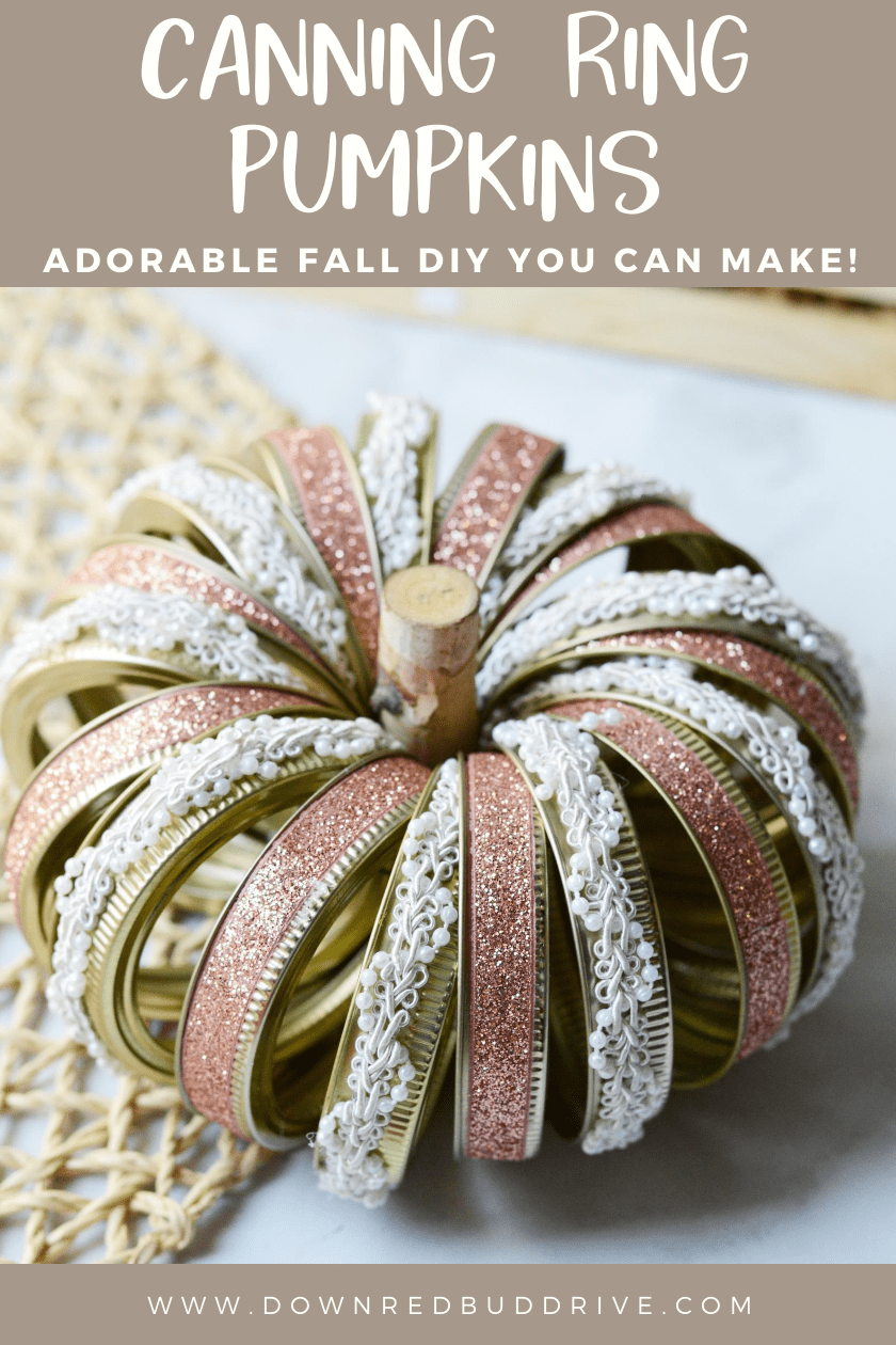 Canning Ring Pumpkins Easy DIY Fall decor YOU can make!