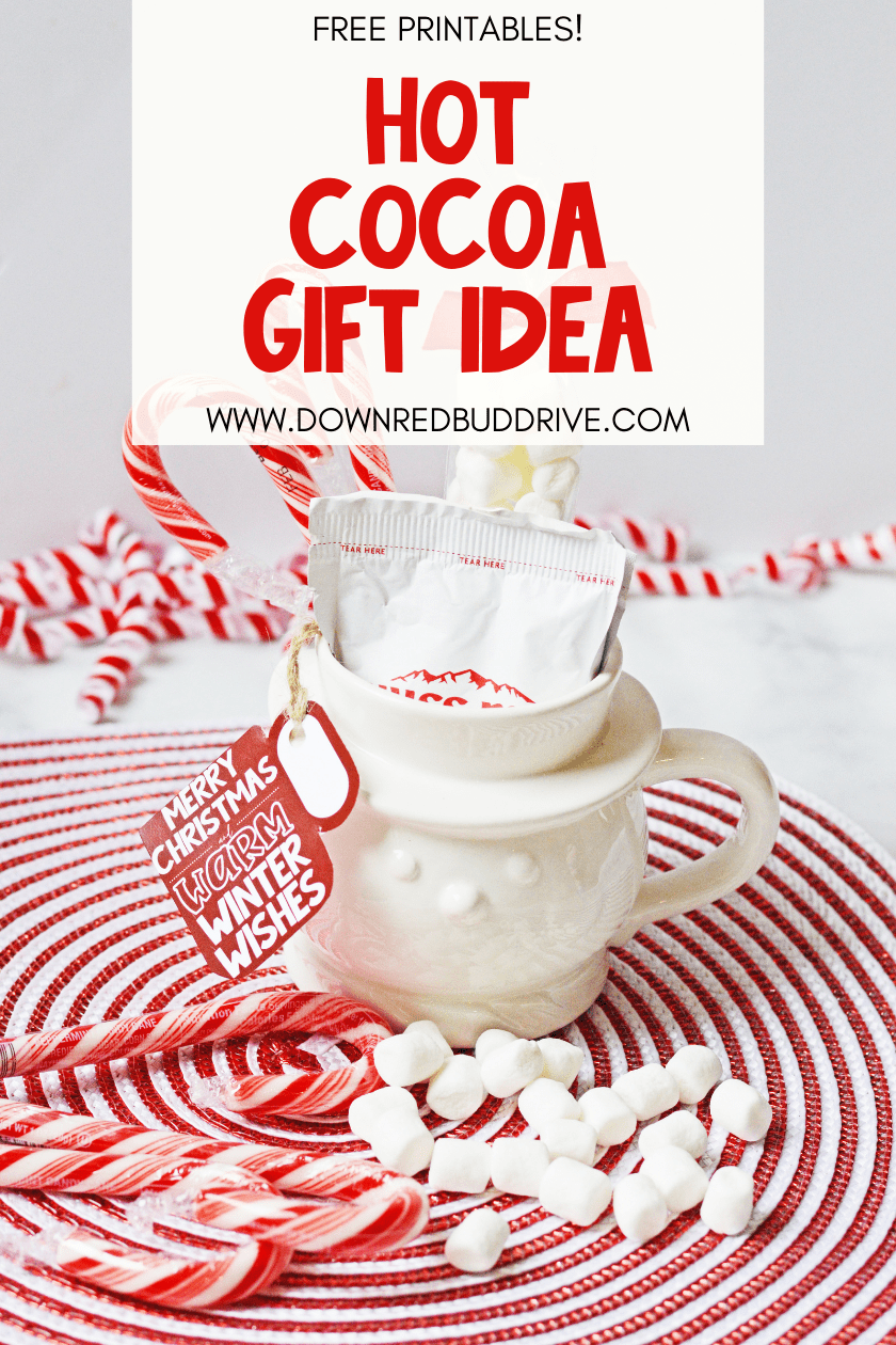DIY Hot Cocoa Gift Idea Free printable gift tags too!