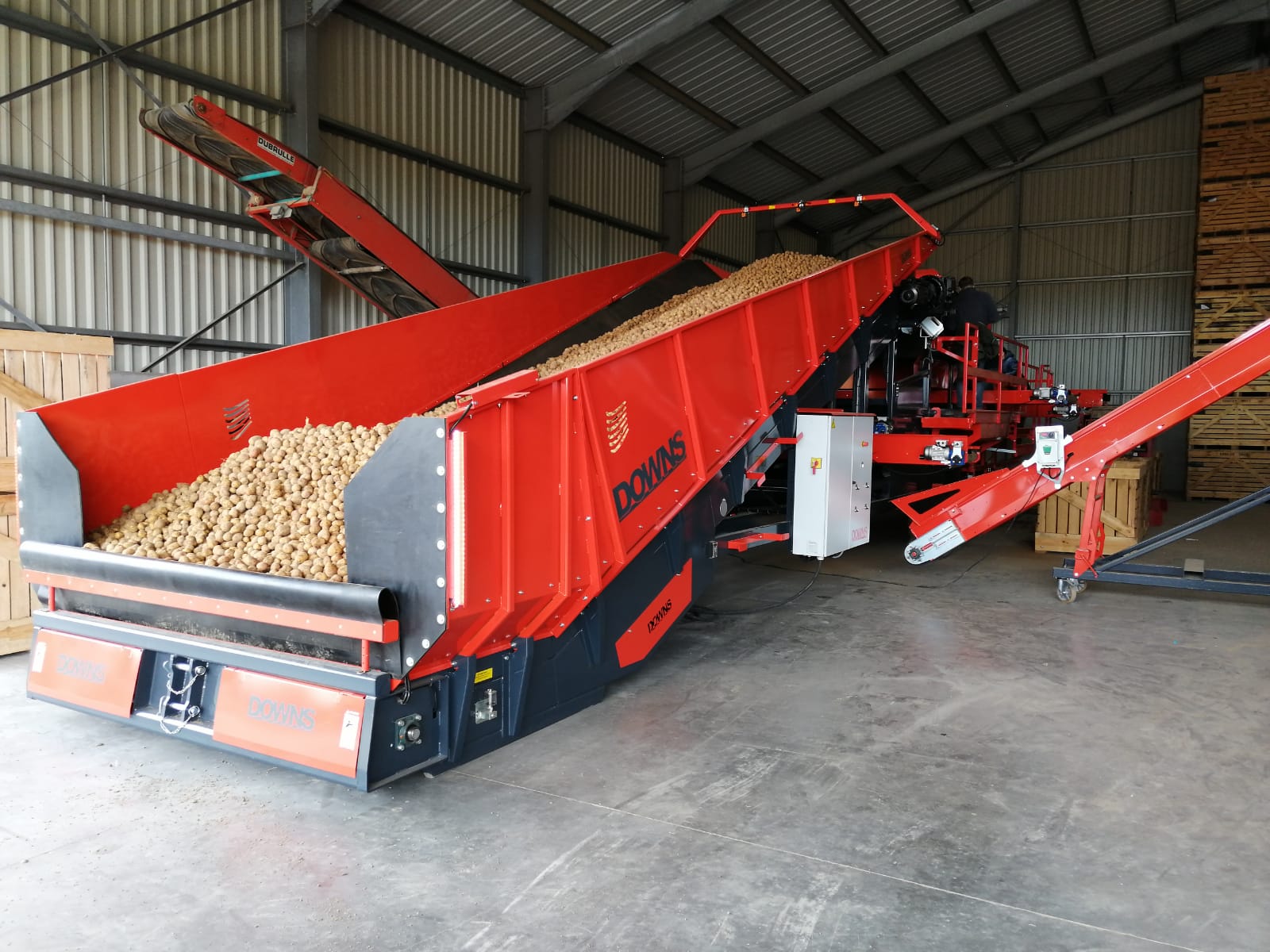 Potato grading line DOWNS