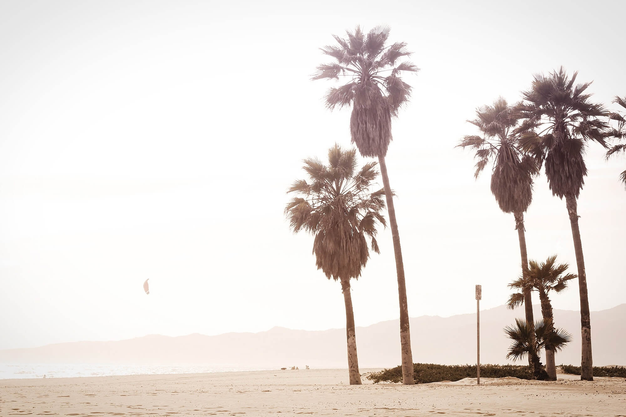 What I loved in February