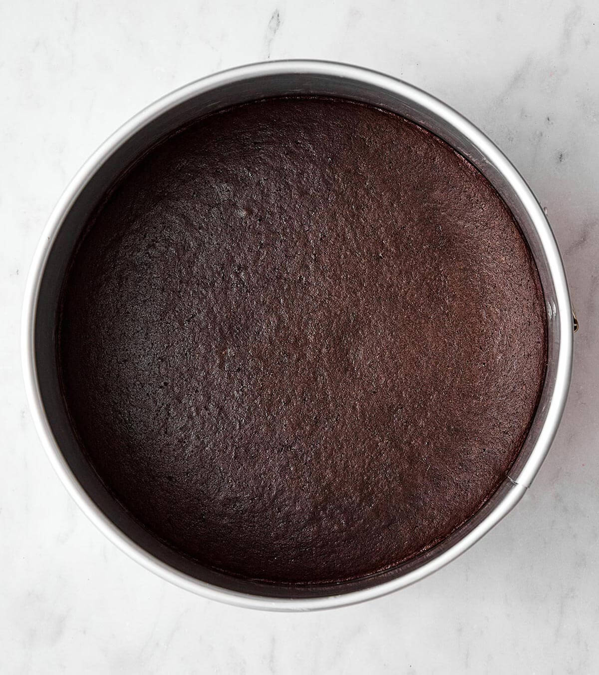 Layer of chocolate cake.