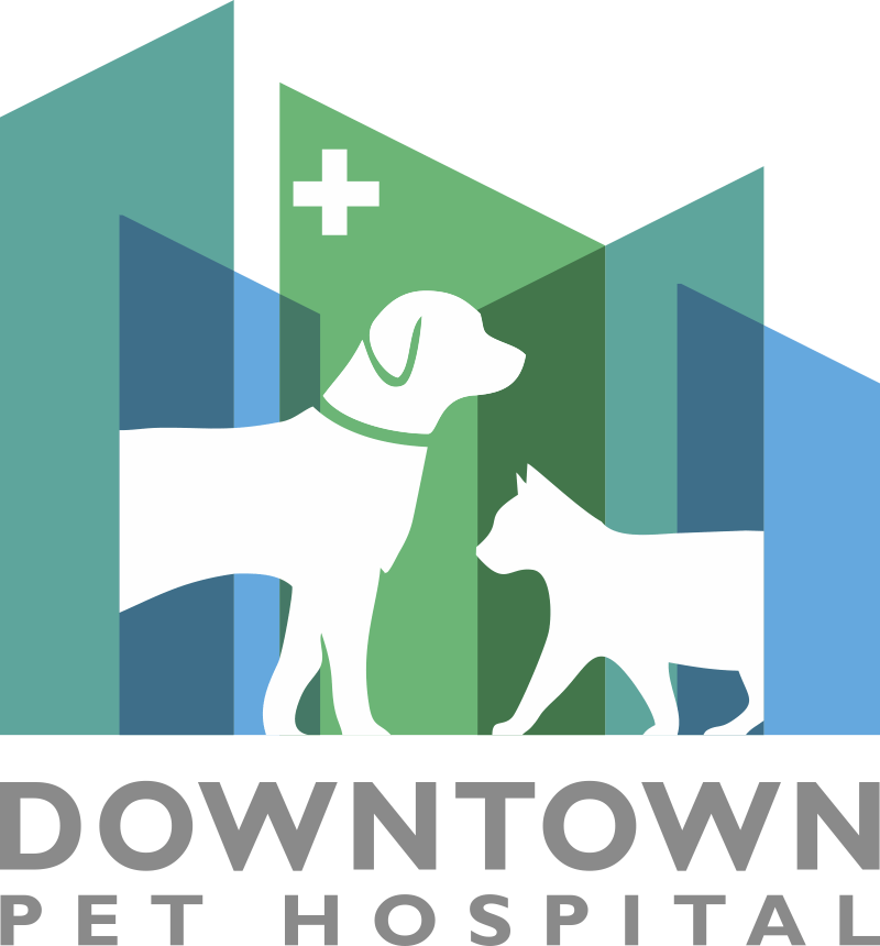 Veterinarian in Orlando, FL Downtown Pet Hospital