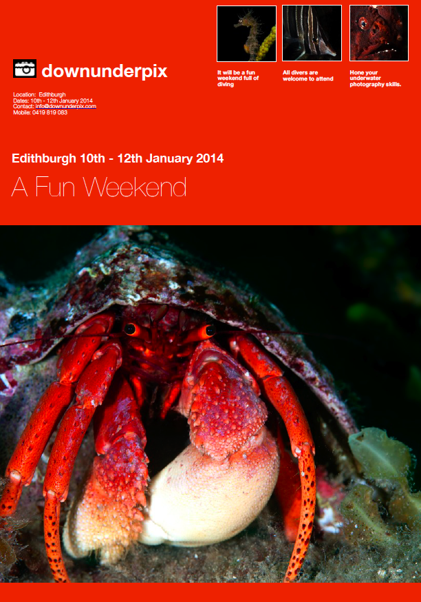 Underwater Photography Adelaide downunderpix