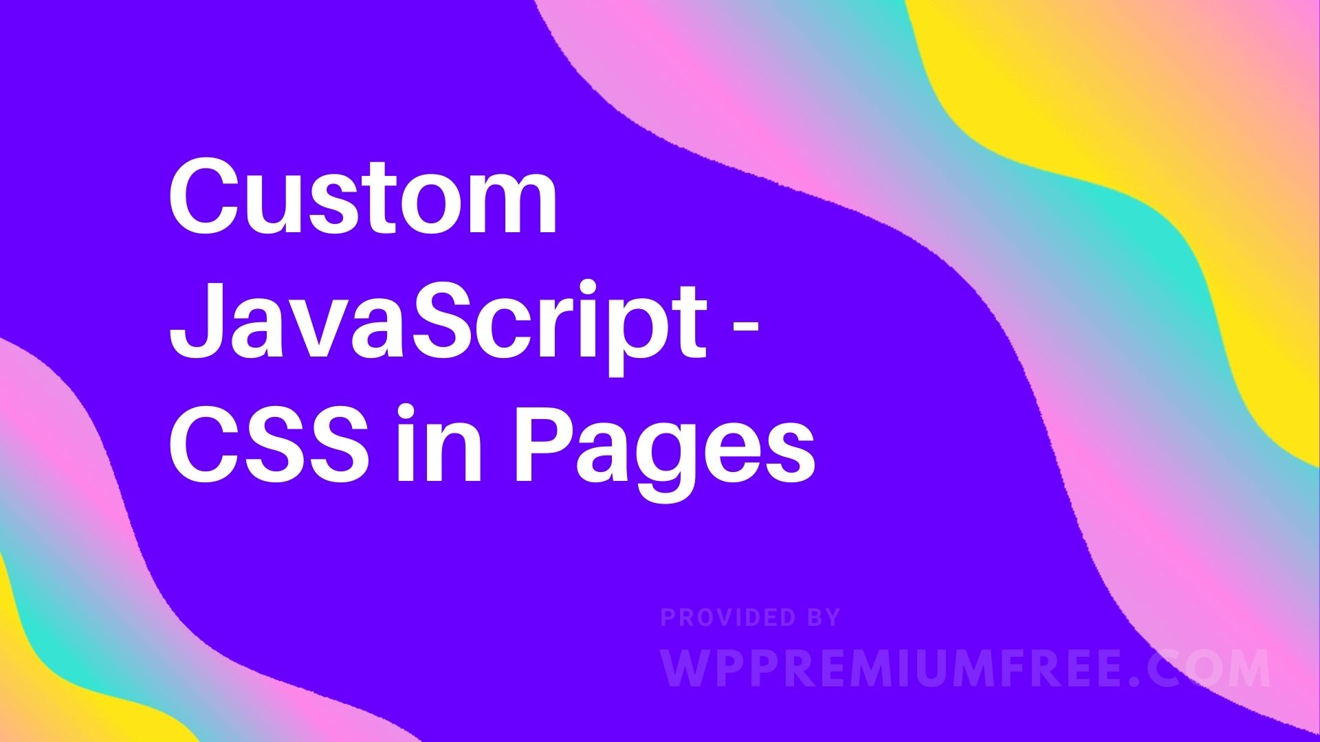 v3.7 Custom JavaScript CSS in Pages Download Your Script
