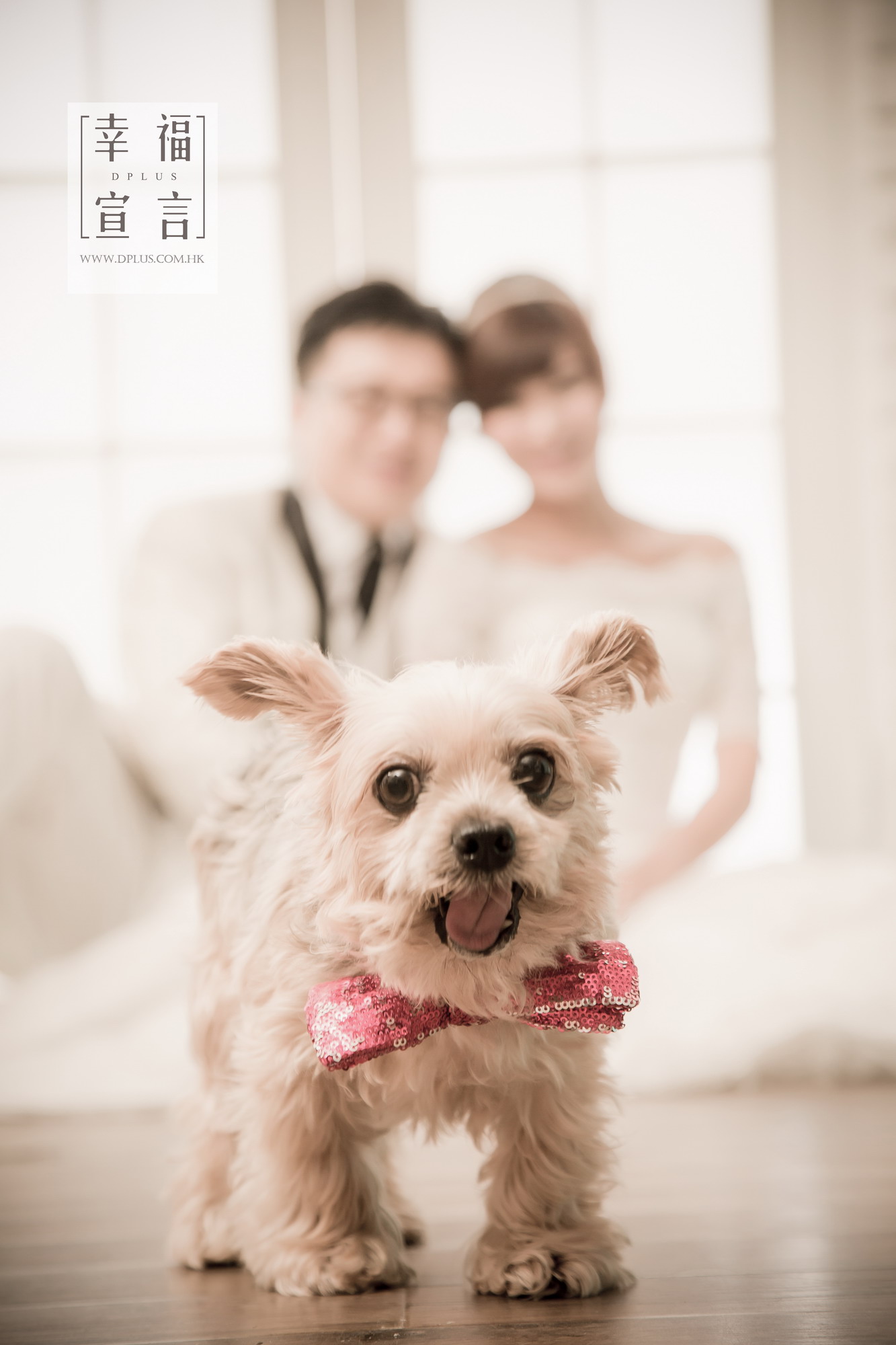 20HK_0058studio0010