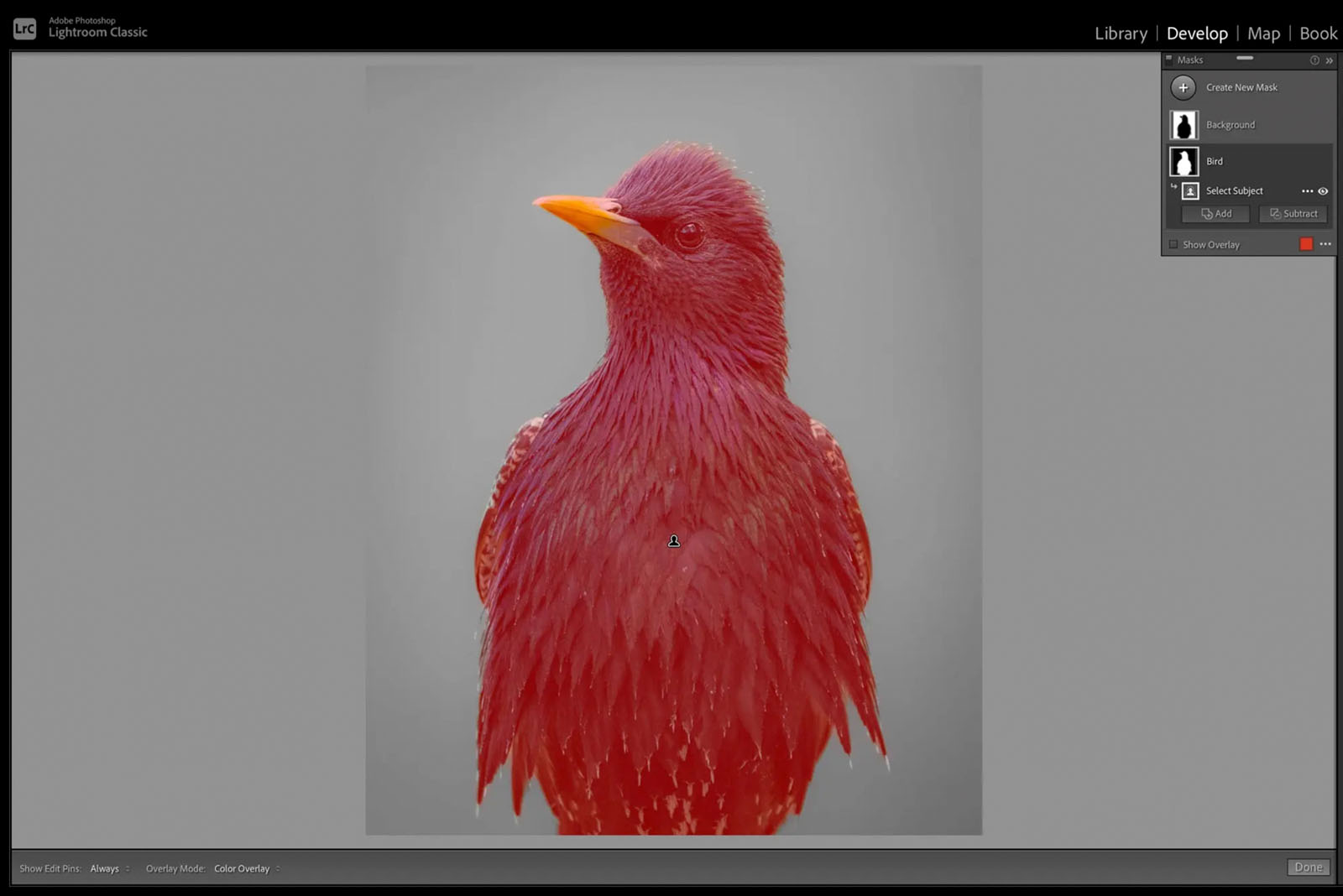Adobe has reengineered masking in Adobe Camera RAW and Lightroom