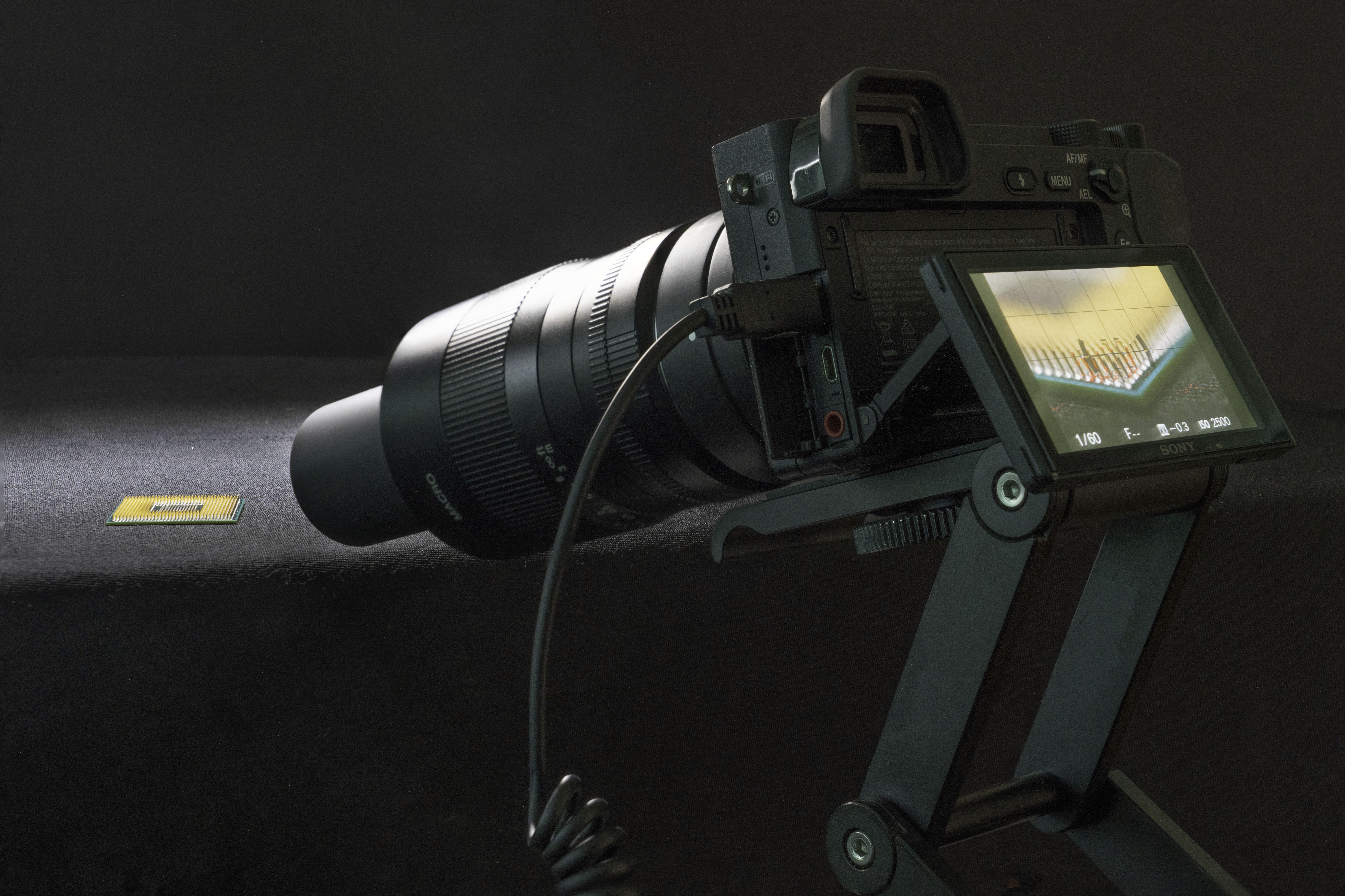 How to Shoot better macro photos using a slider and focus stacking