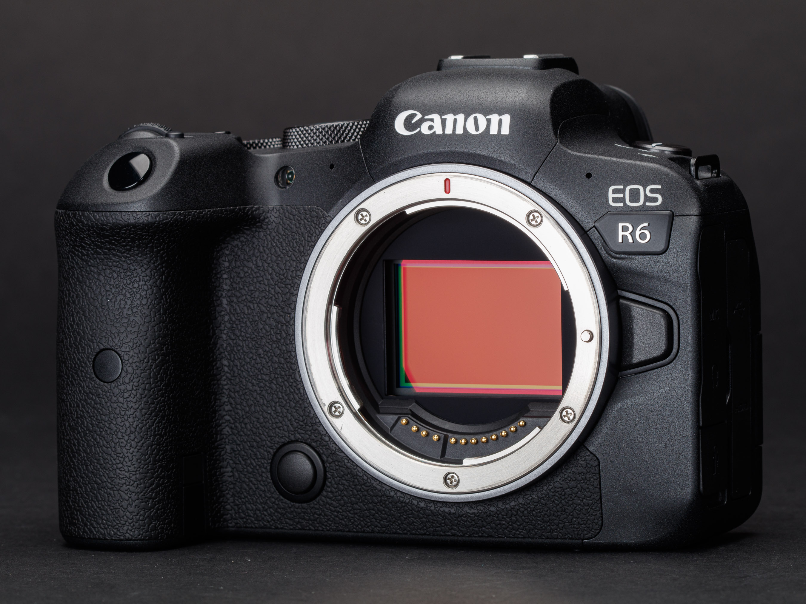 Canon EOS R6 Review not the hybrid king, but a great photographers