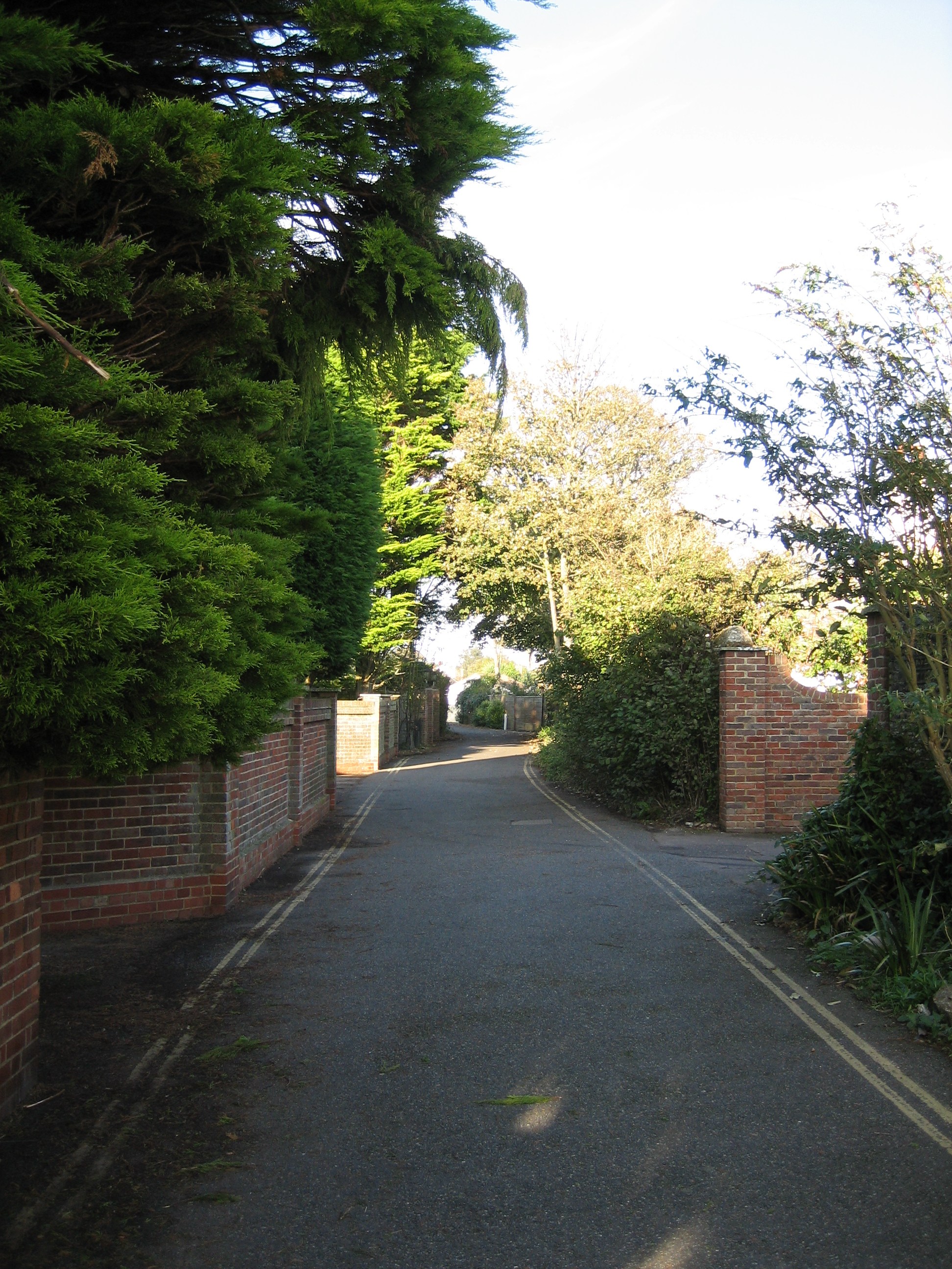 Canon PowerShot SD450 Digital ELPH / Digital IXUS 55 Review: Digital