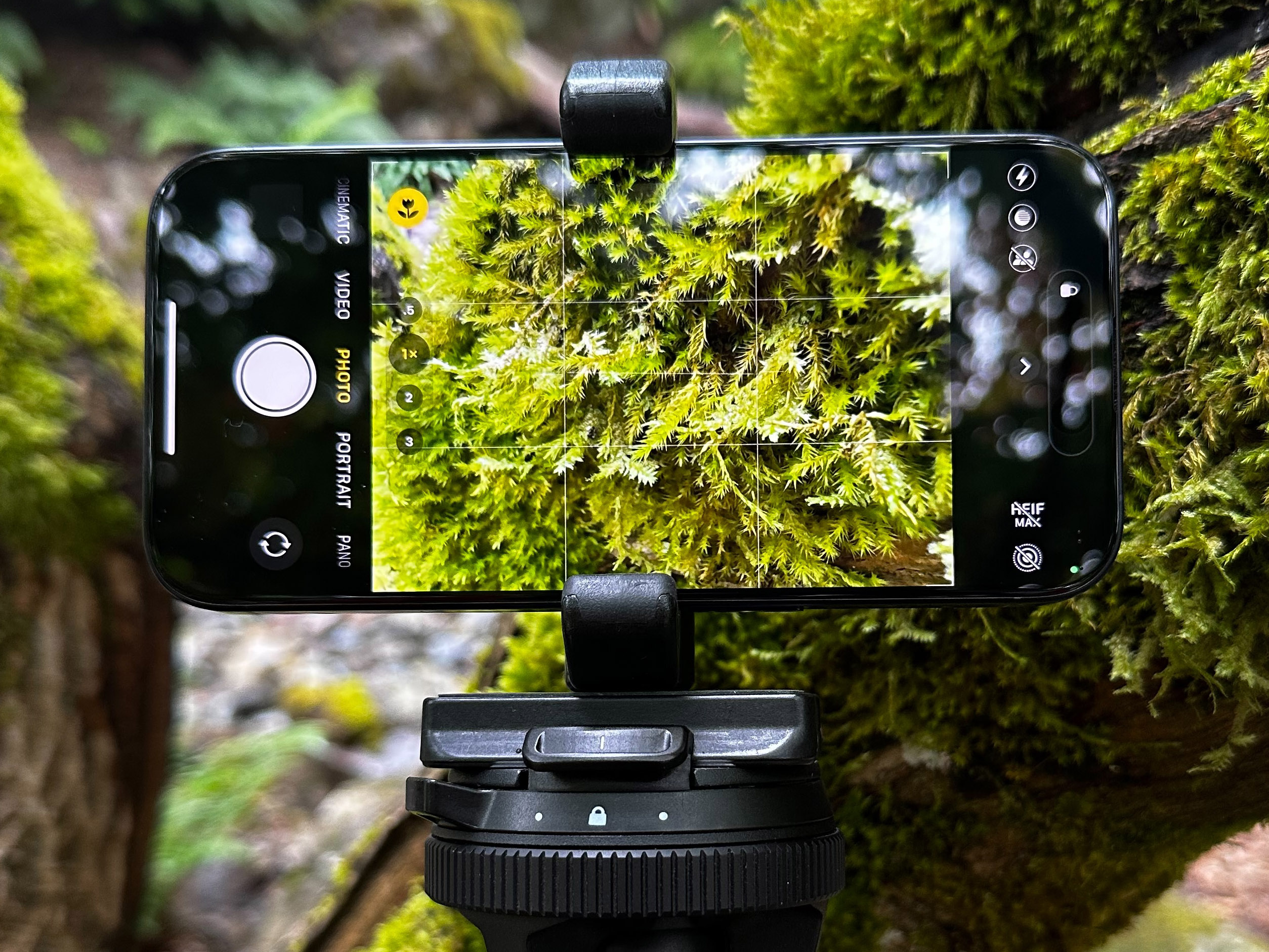 The best camera settings for iPhone 15 and iPhone 15 Pro Digital