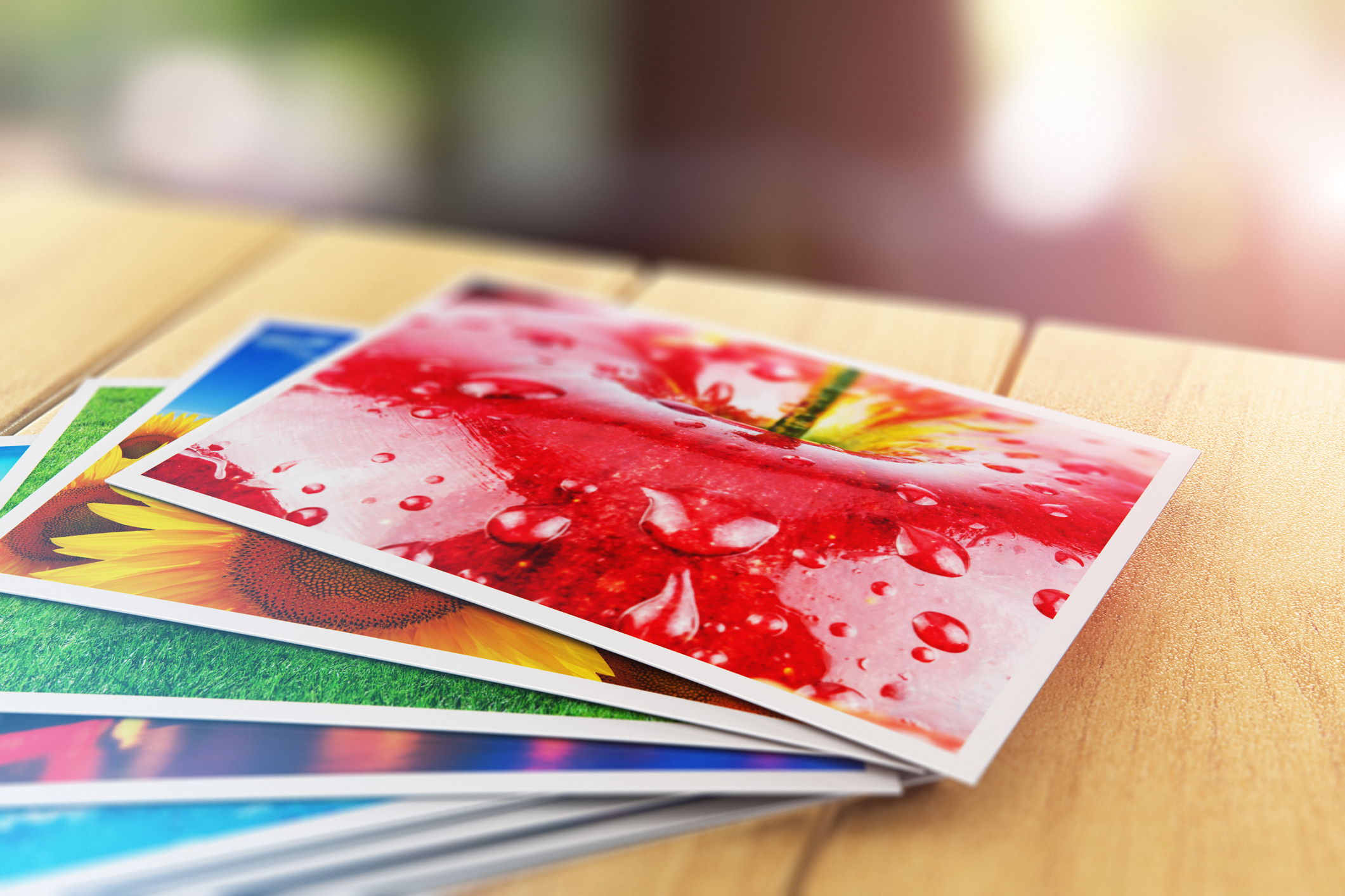 Which online printing service should I use this holiday season