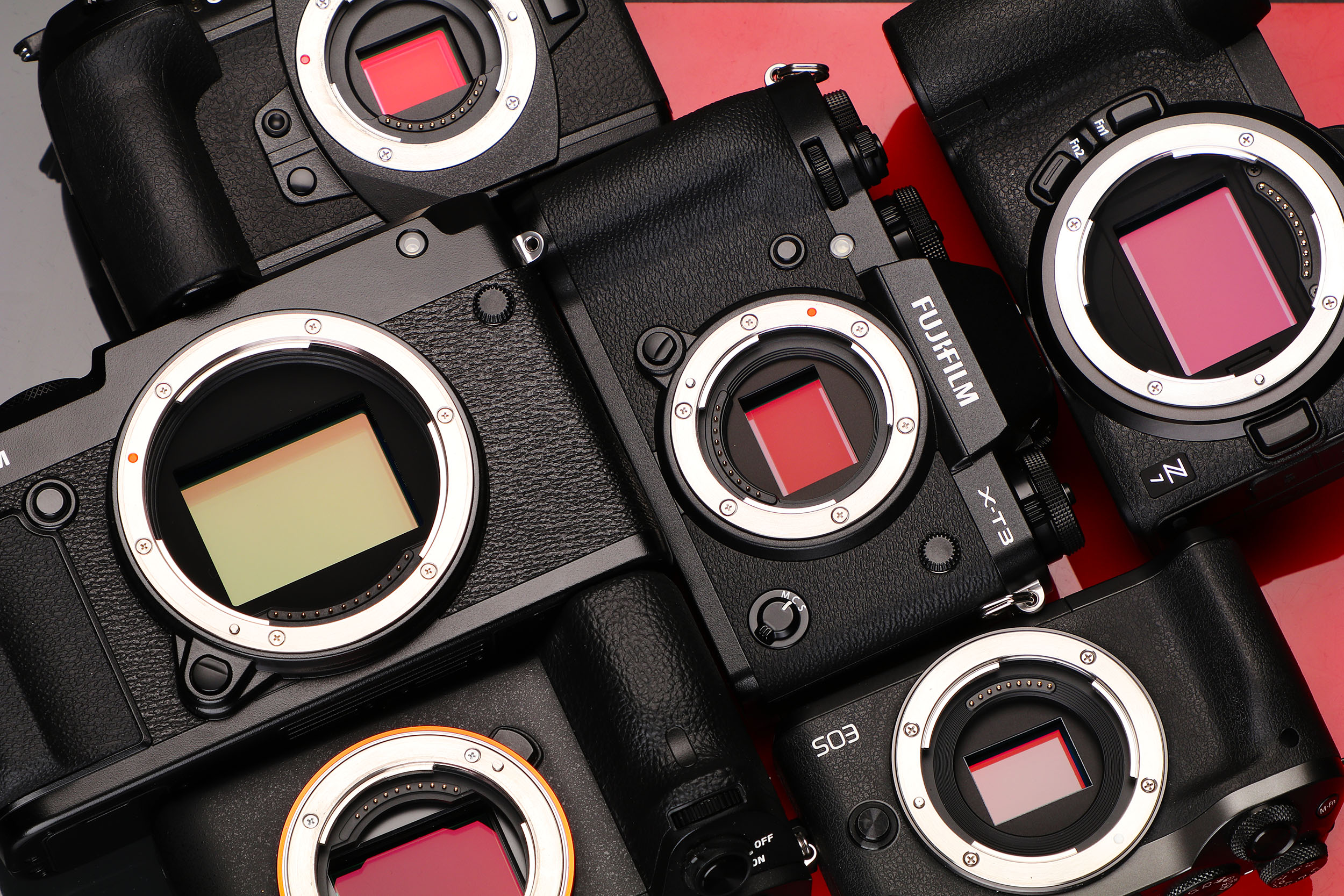 Choosing a camera Part 2 is a bigger sensor better? Digital