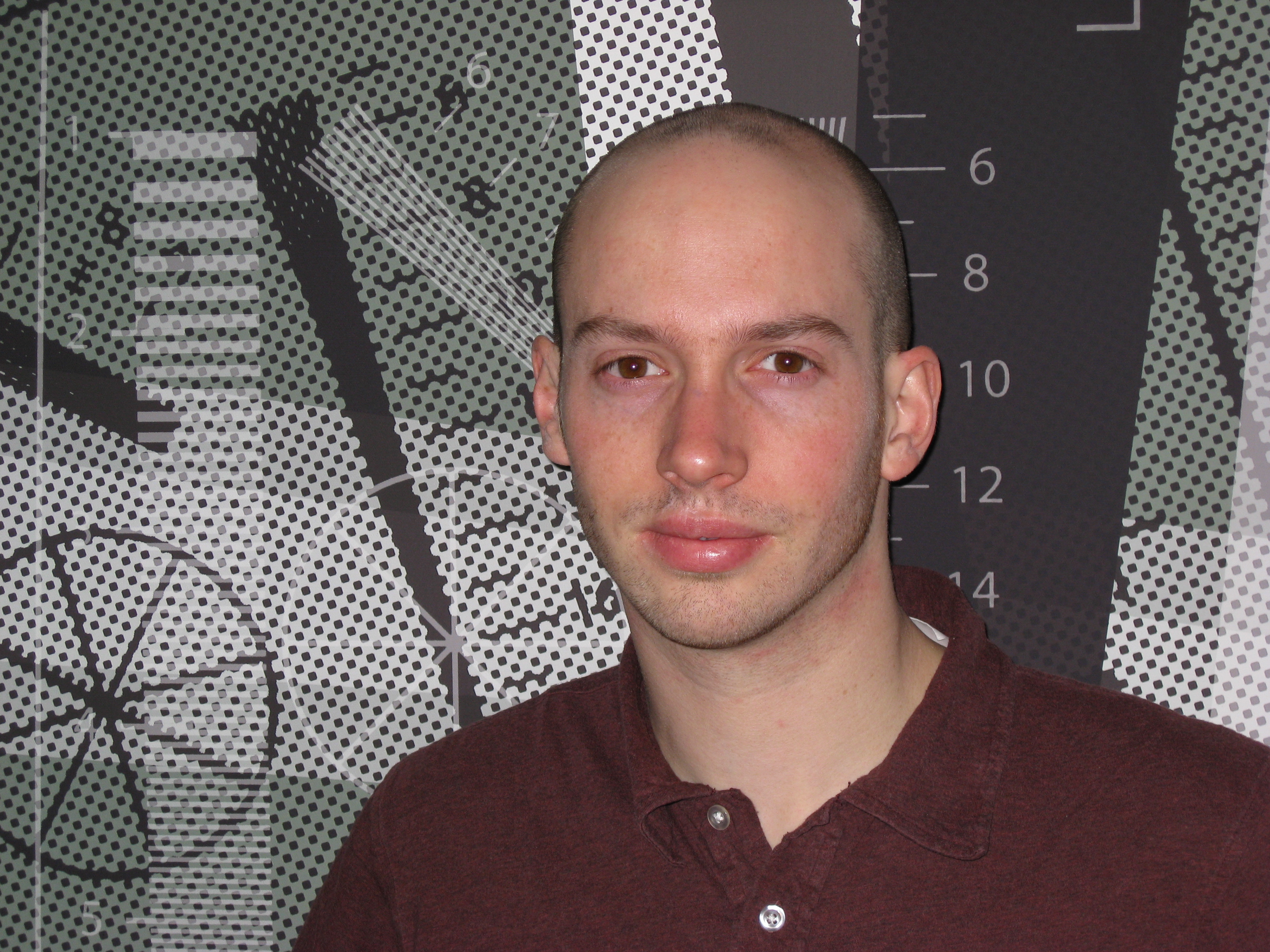 Canon PowerShot SD850 IS Digital ELPH (IXUS 950 IS) Concise Review